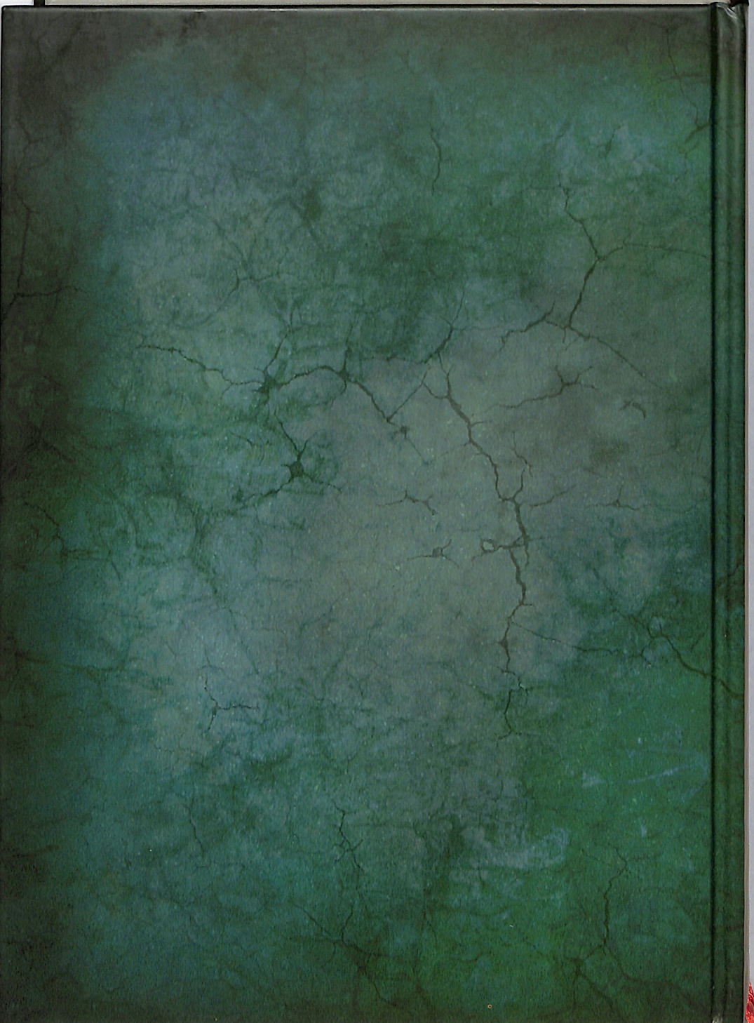 reckless-rueckseite Rueckseite des Buches Reckless