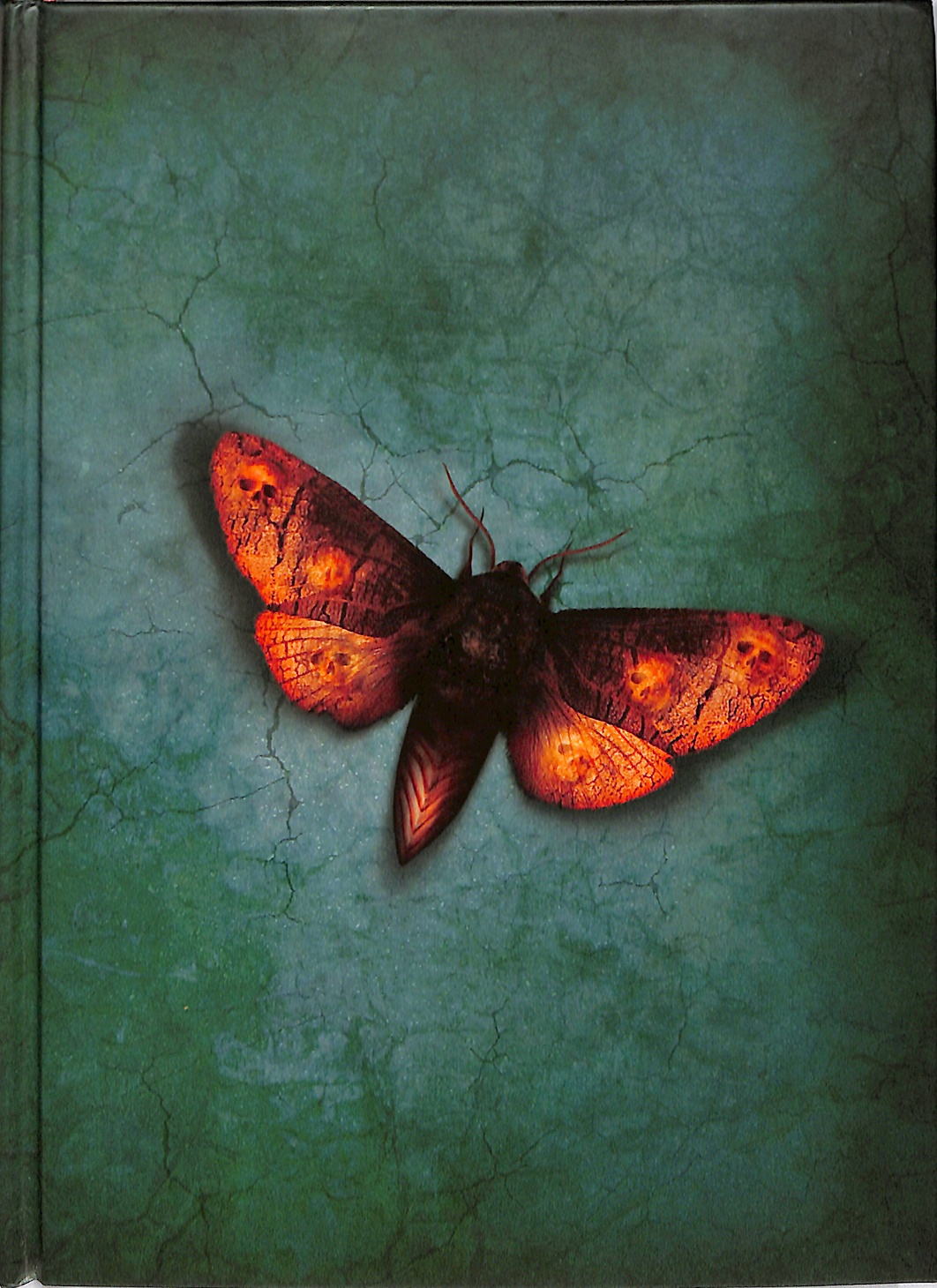 reckless-vorderseite Buchdeckel des Buches Reckless