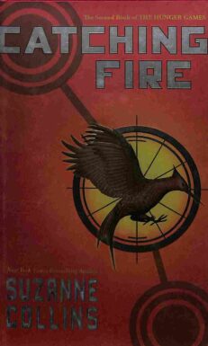 vorderseite des buches catching fire