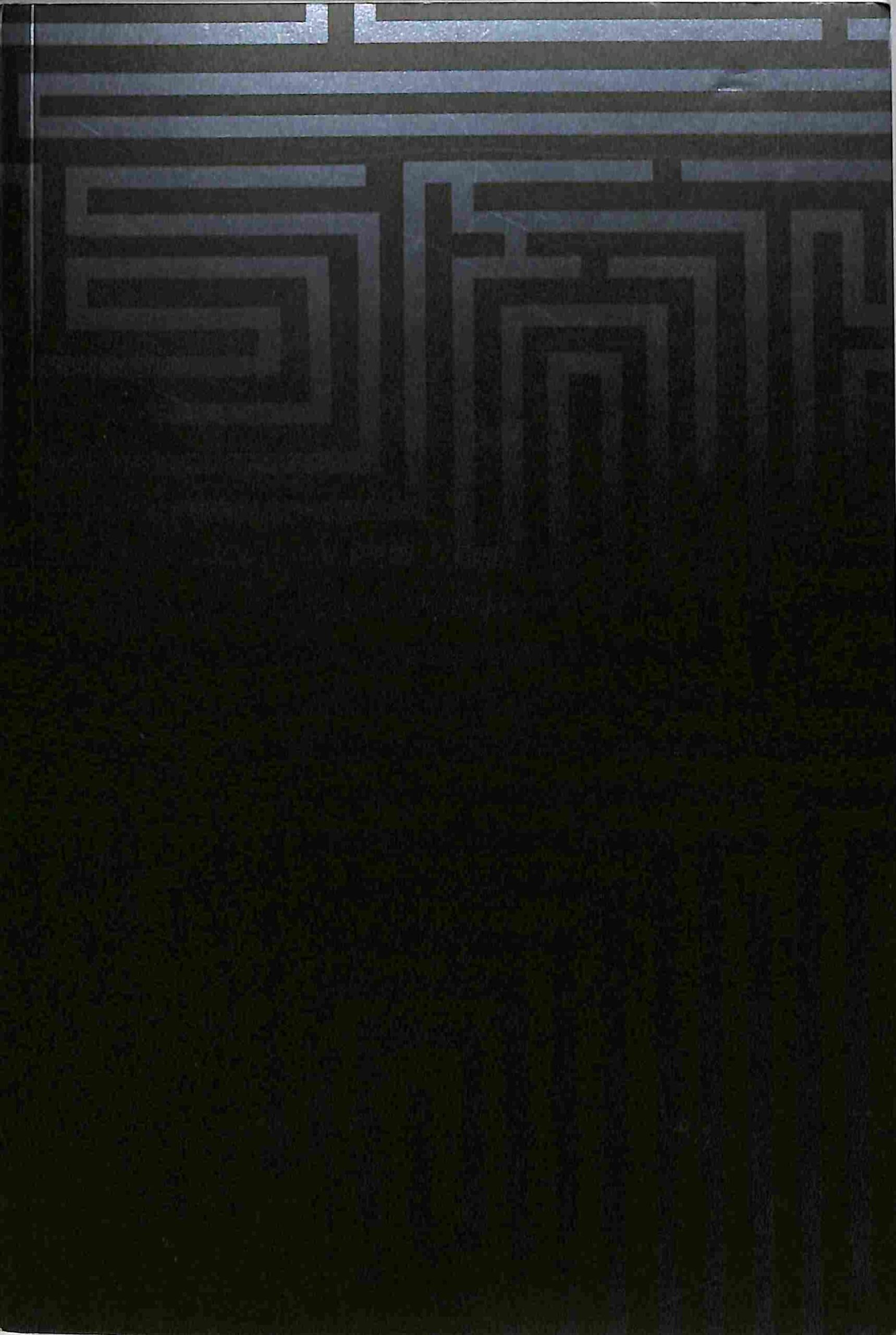 die-auserwaehlten-im-labyrinth-vorderseite Vorderseite des Buches die Auserwählten im Labyrinth