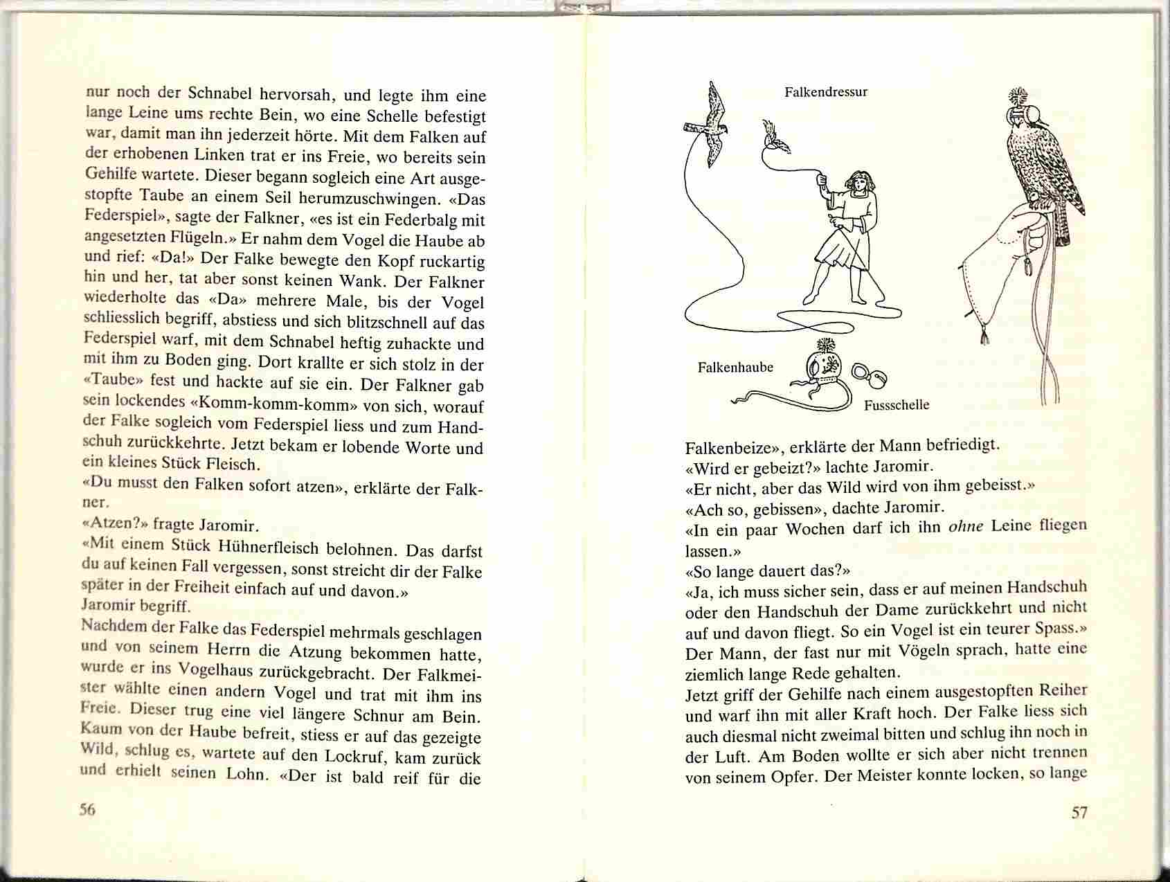 jaromir-bei-den-rittern-illustration Illustration im Buch Jaromir bei den Rittern
